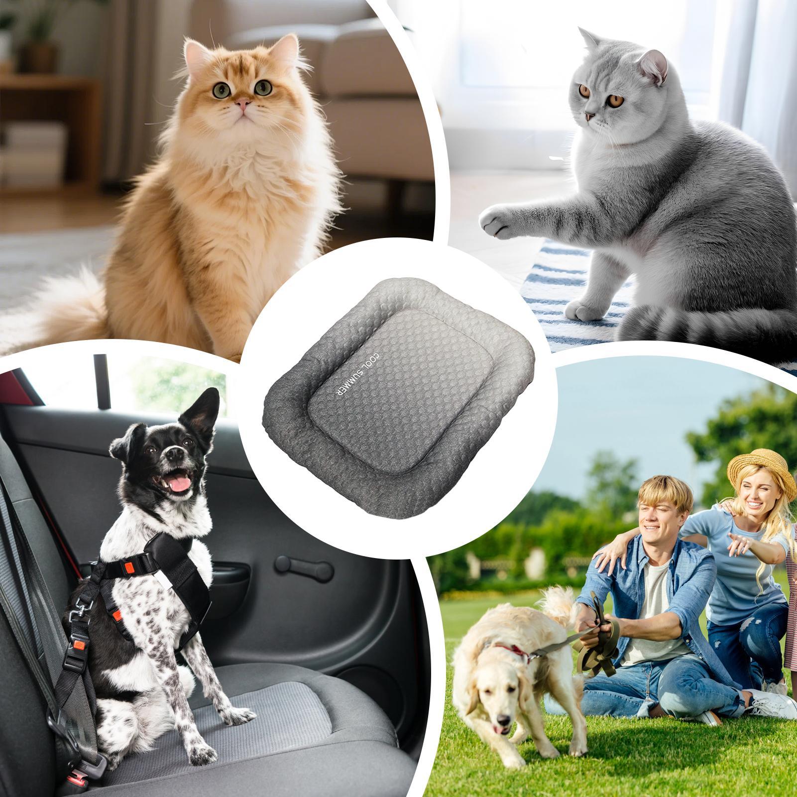 Dog Cooling Bed Portable Non-S - Outdoor Camping Dog Kennel 评论和价格